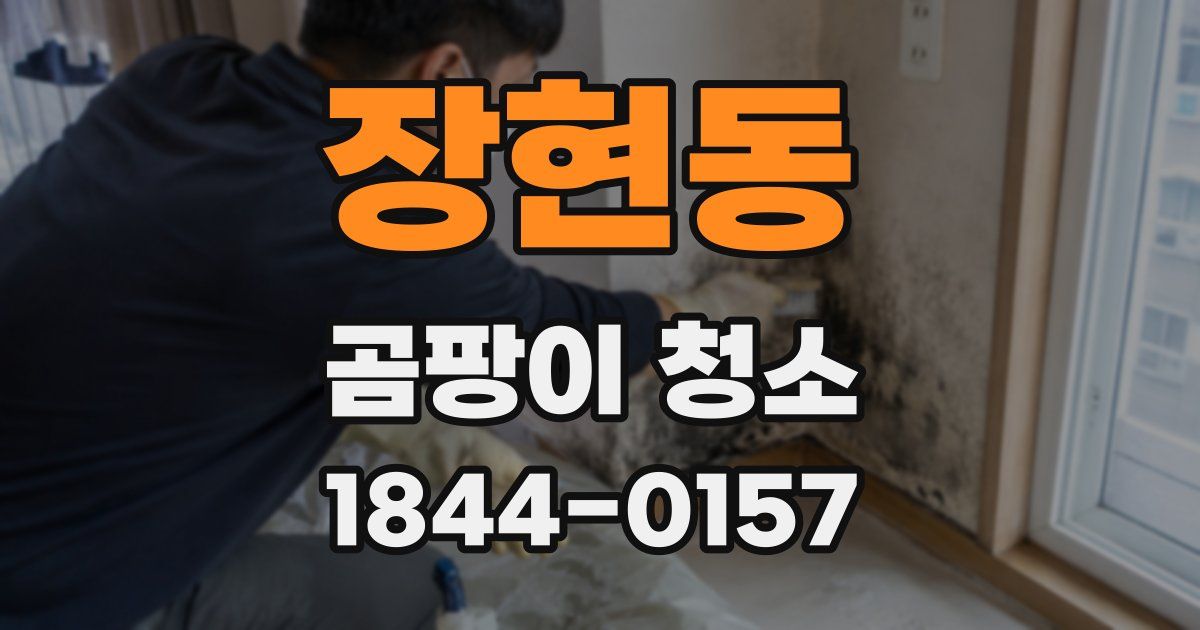 장현동 곰팡이 청소