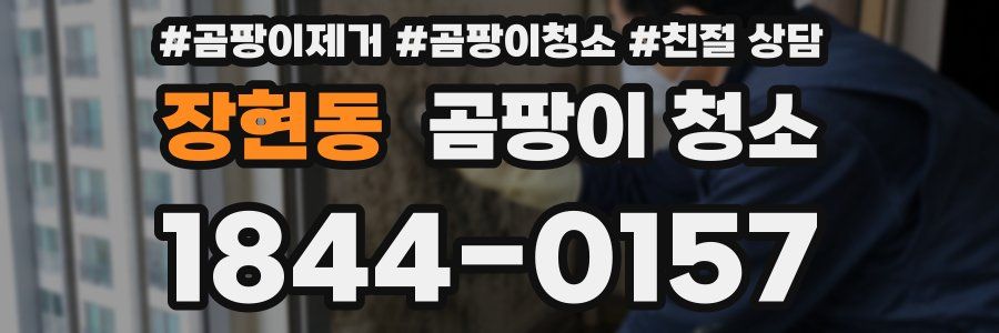 장현동 곰팡이 청소