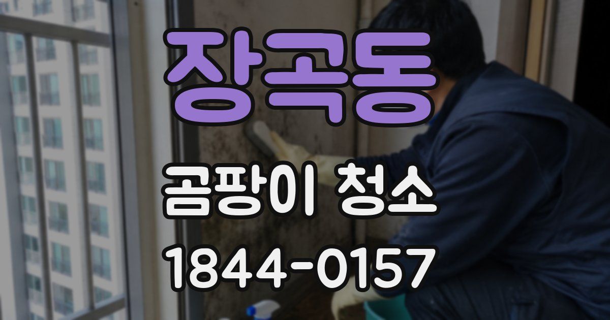 장곡동 곰팡이 청소
