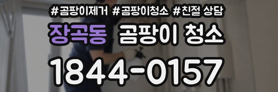 장곡동 곰팡이 청소