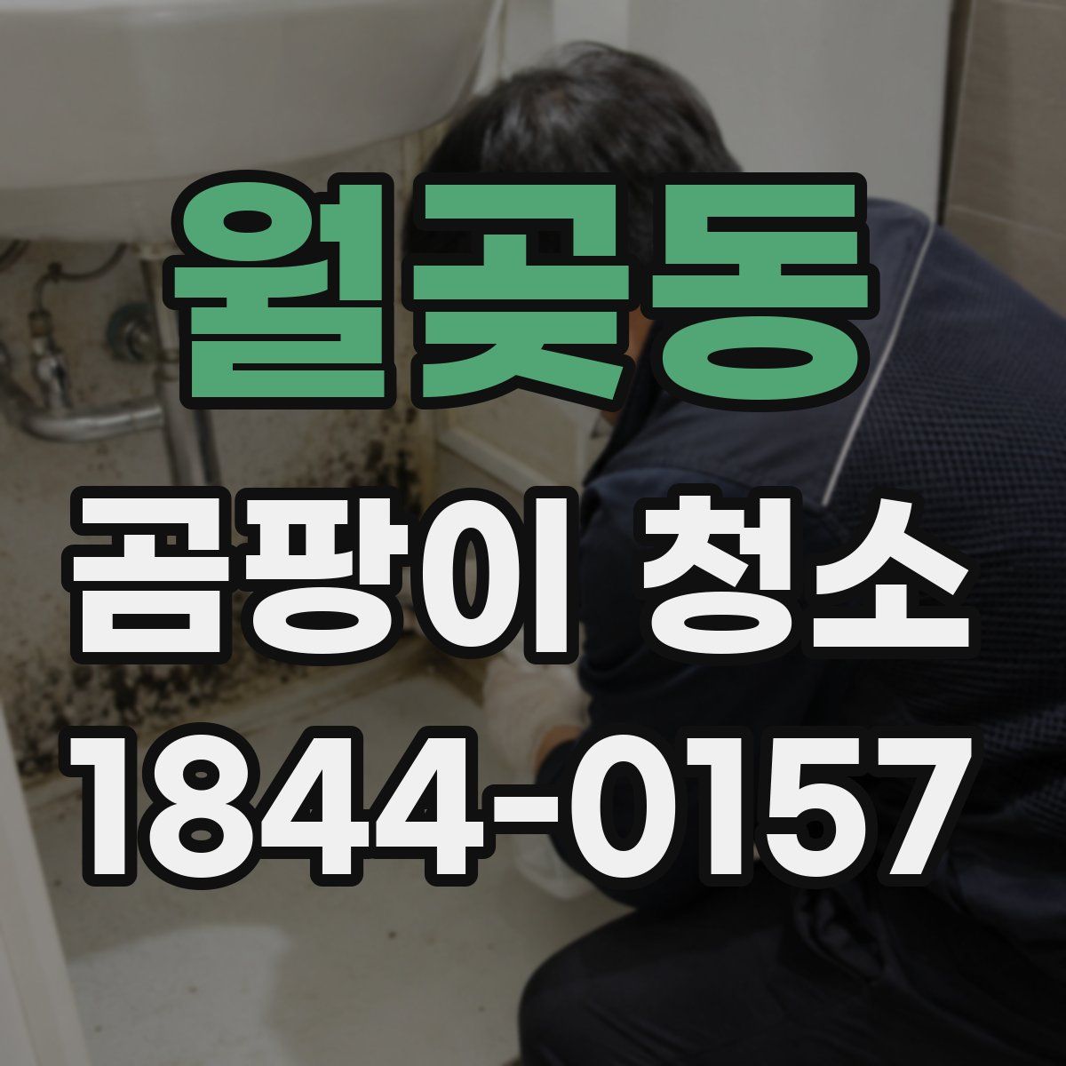 월곶동 곰팡이 청소