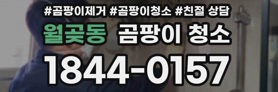 월곶동 곰팡이 청소