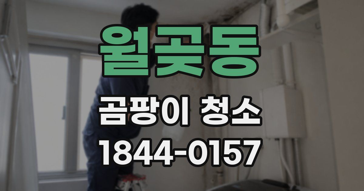 월곶동 곰팡이 청소