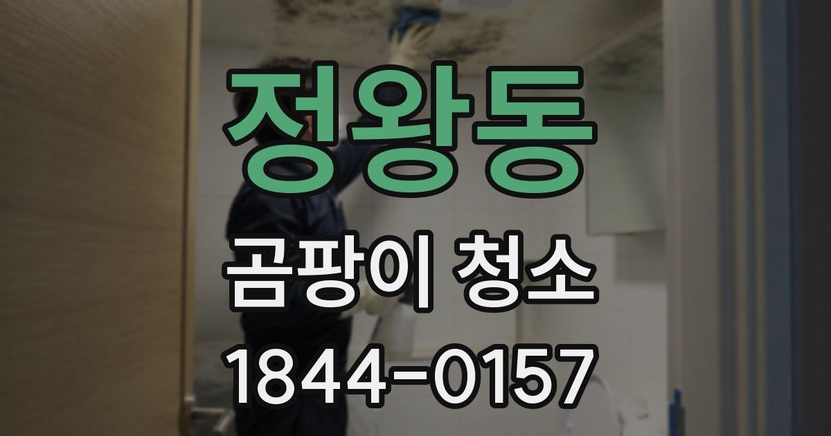 정왕동 곰팡이 청소