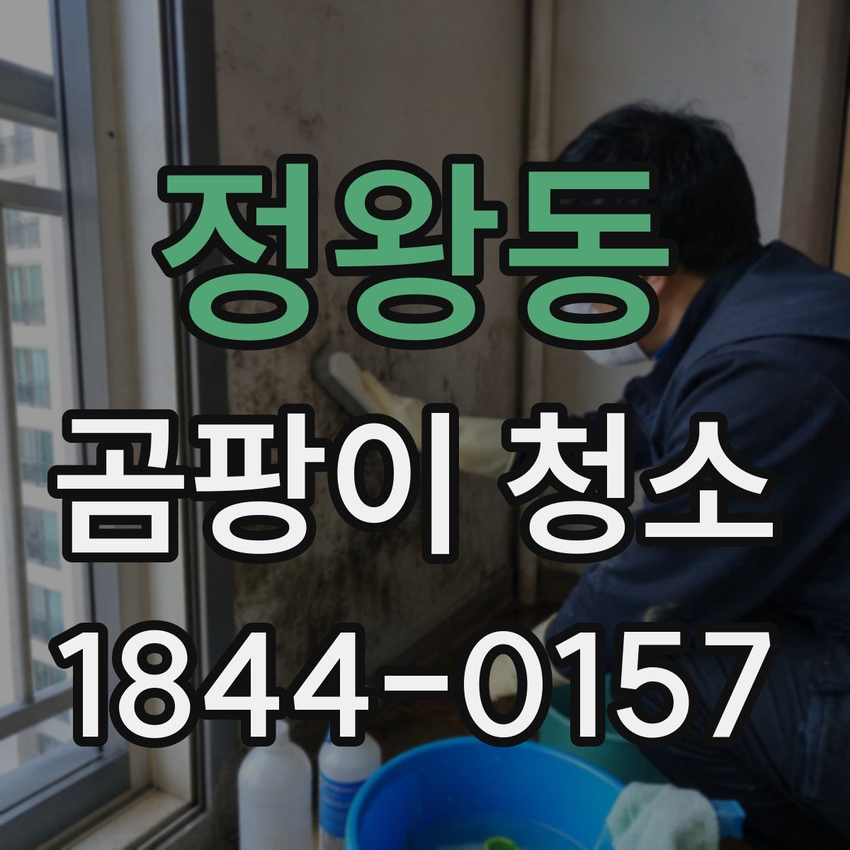 정왕동 곰팡이 청소