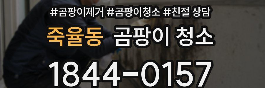 죽율동 곰팡이 청소