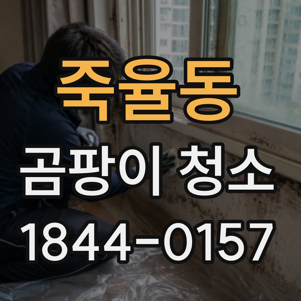 죽율동 곰팡이 청소