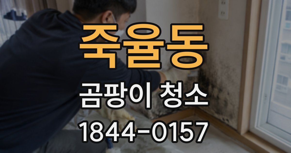 죽율동 곰팡이 청소