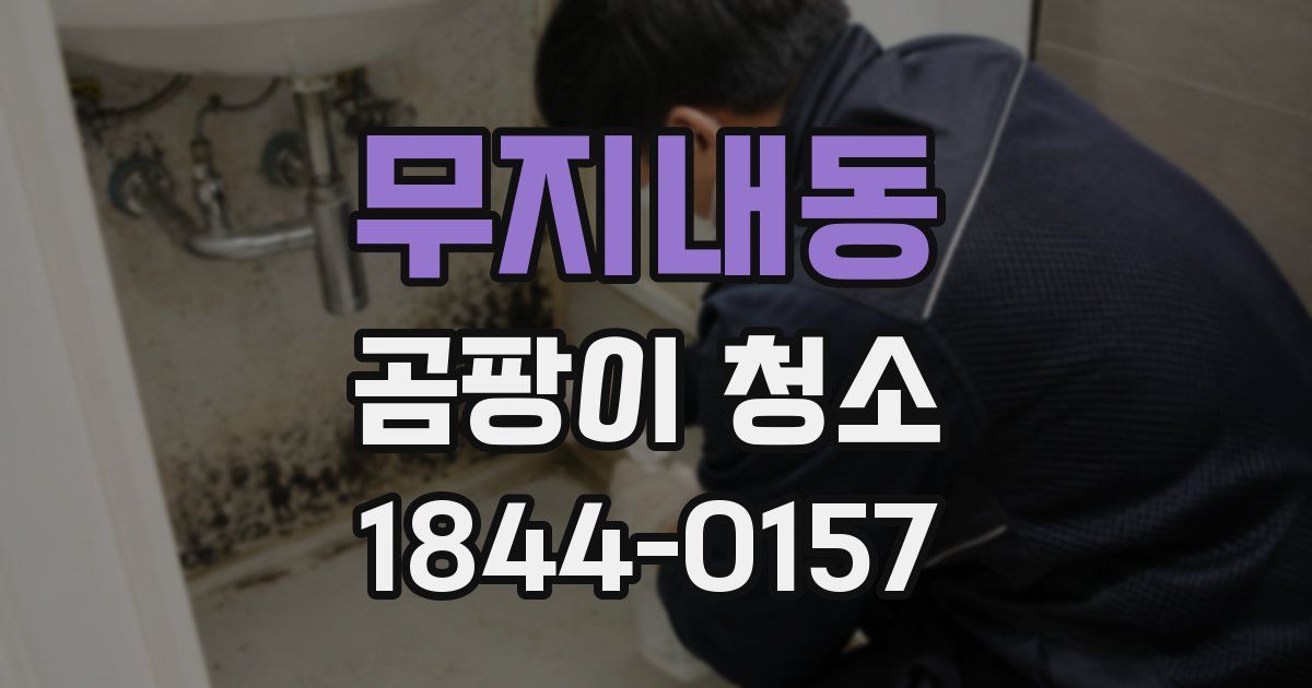 무지내동 곰팡이 청소
