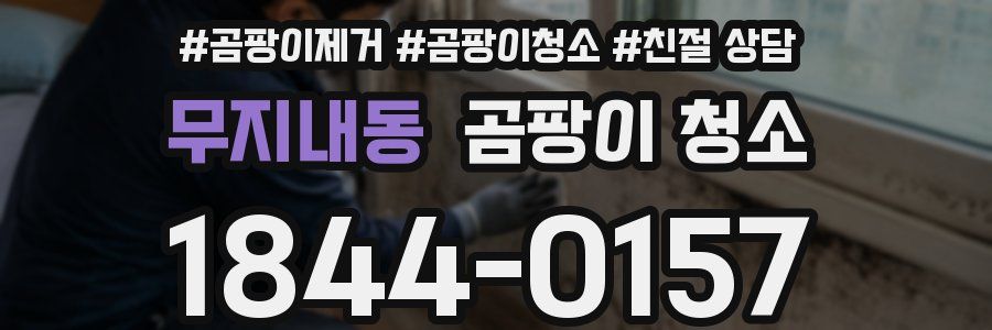 무지내동 곰팡이 청소