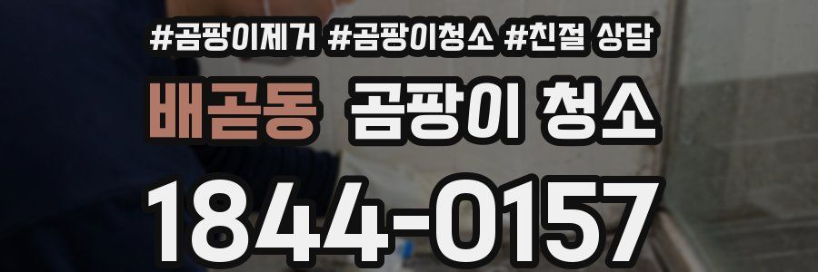 배곧동 곰팡이 청소