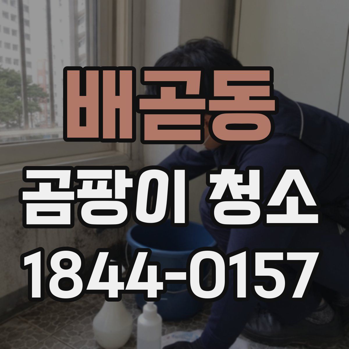 배곧동 곰팡이 청소