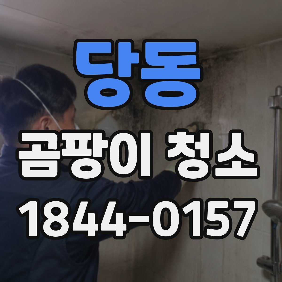 당동 곰팡이 청소