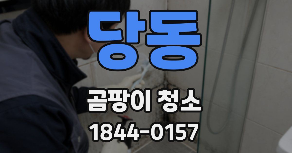 당동 곰팡이 청소