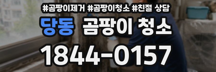 당동 곰팡이 청소