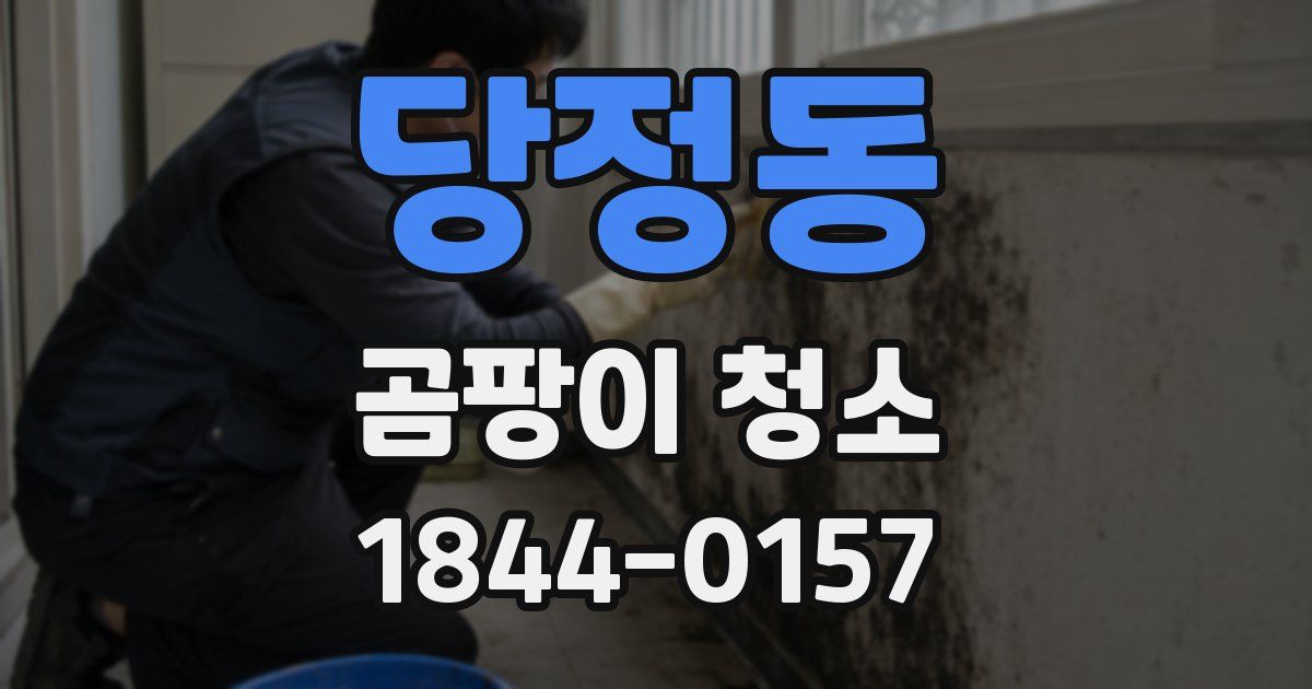 당정동 곰팡이 청소