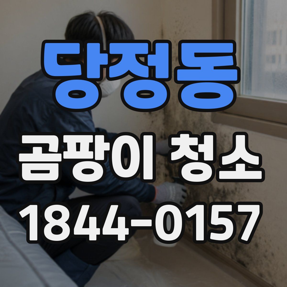 당정동 곰팡이 청소