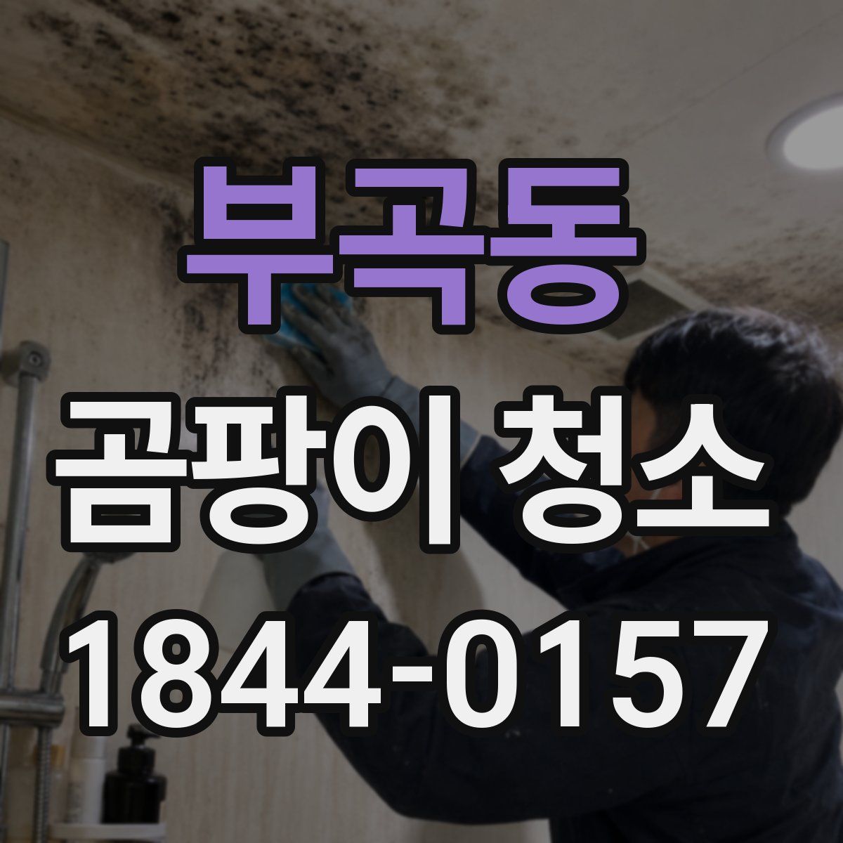 부곡동 곰팡이 청소
