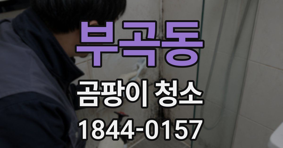 부곡동 곰팡이 청소