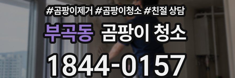 부곡동 곰팡이 청소