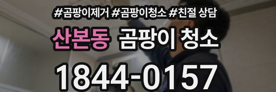산본동 곰팡이 청소