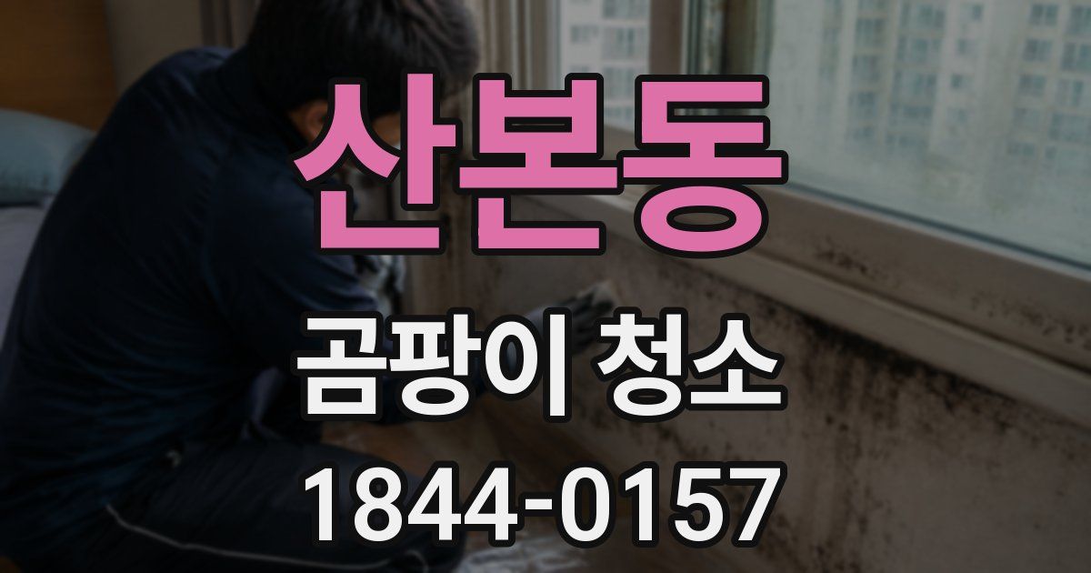 산본동 곰팡이 청소