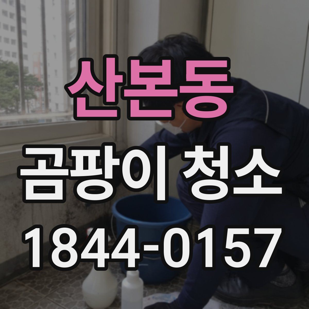 산본동 곰팡이 청소