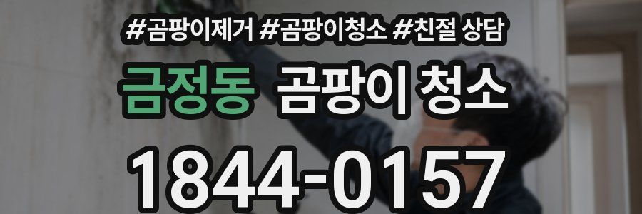 금정동 곰팡이 청소