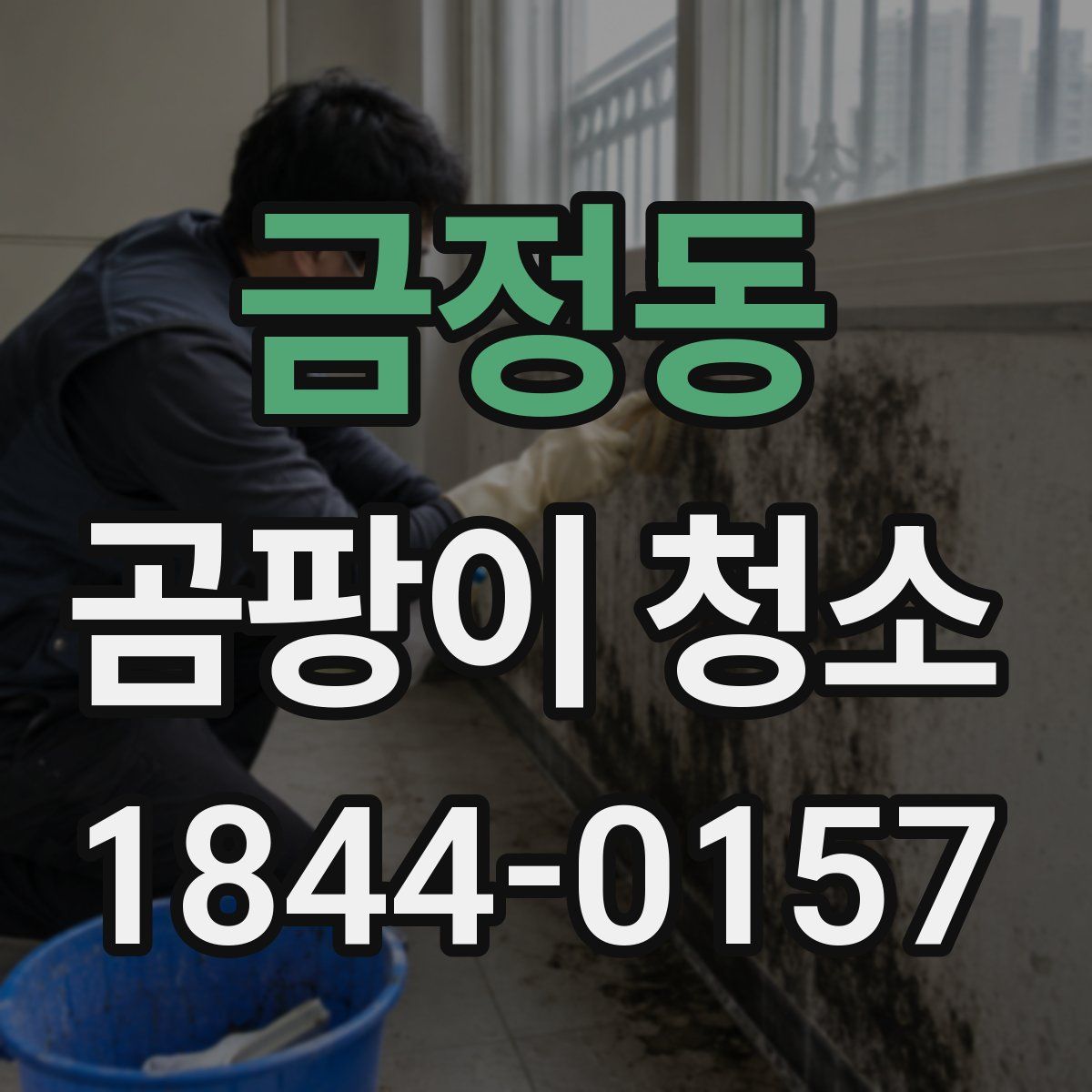 금정동 곰팡이 청소