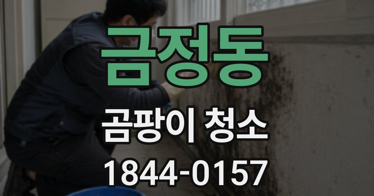 금정동 곰팡이 청소