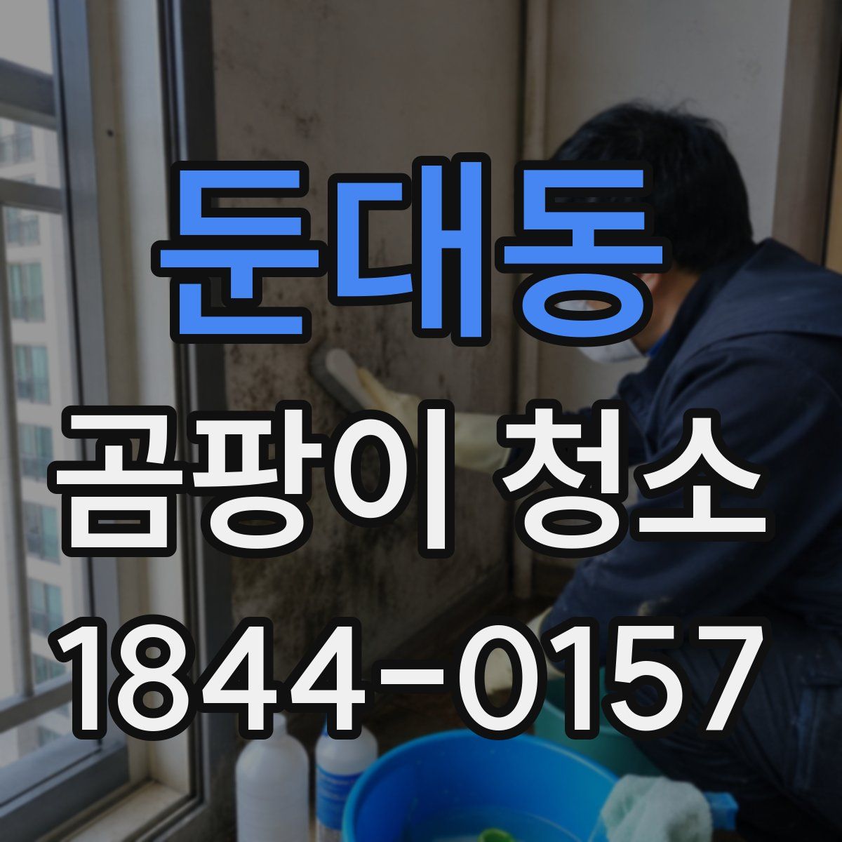 둔대동 곰팡이 청소