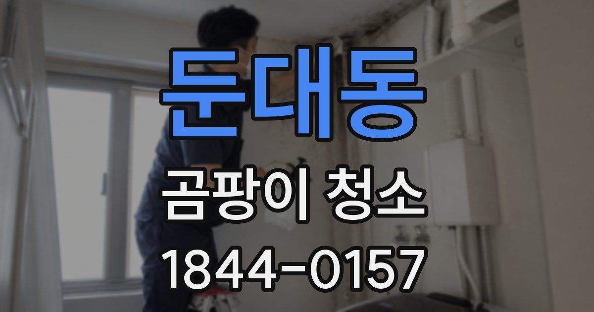 둔대동 곰팡이 청소