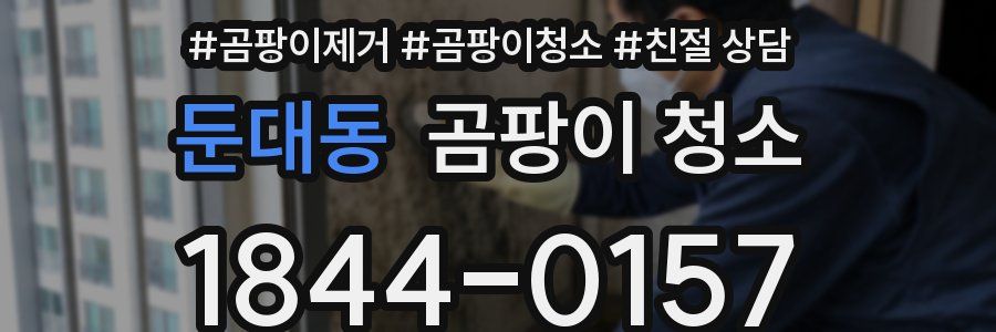 둔대동 곰팡이 청소