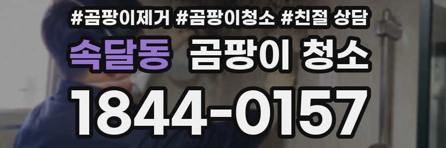 속달동 곰팡이 청소