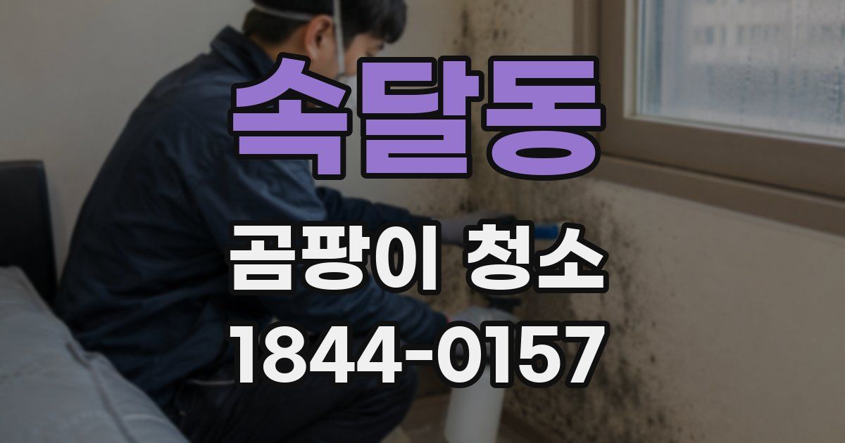 속달동 곰팡이 청소