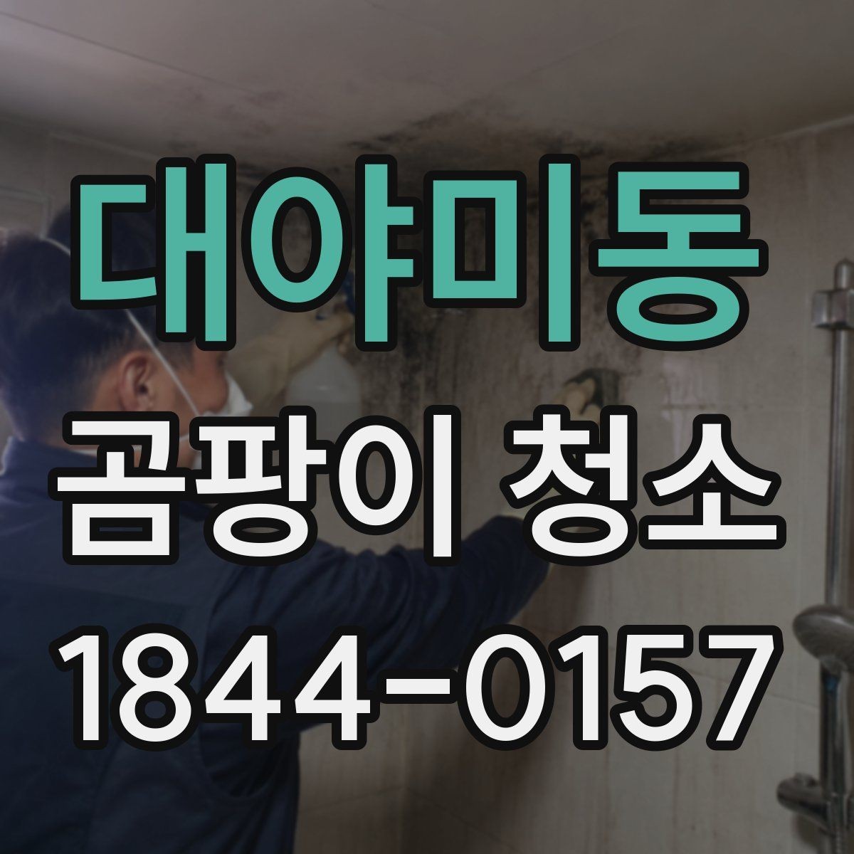 대야미동 곰팡이 청소 작업 시 환기와 보호가 중요한 이유