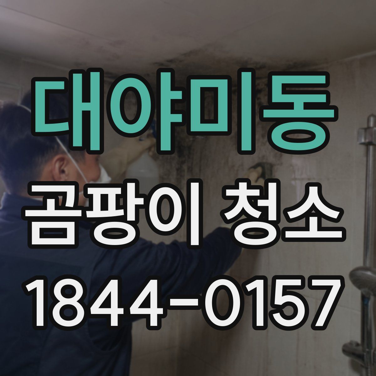 대야미동 곰팡이 청소
