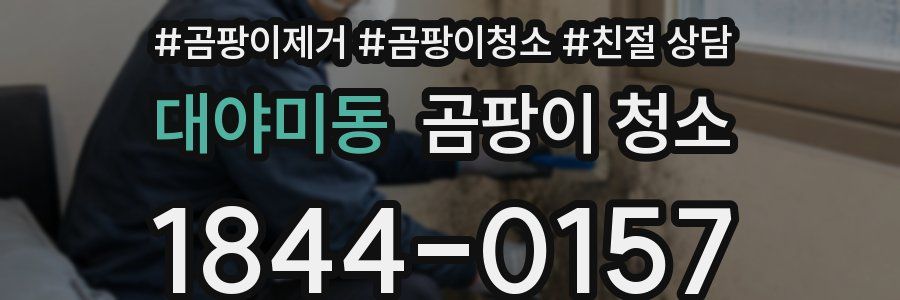 대야미동 곰팡이 청소