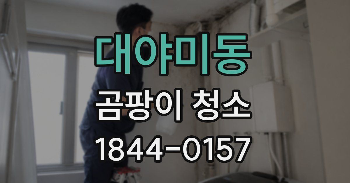 대야미동 곰팡이 청소