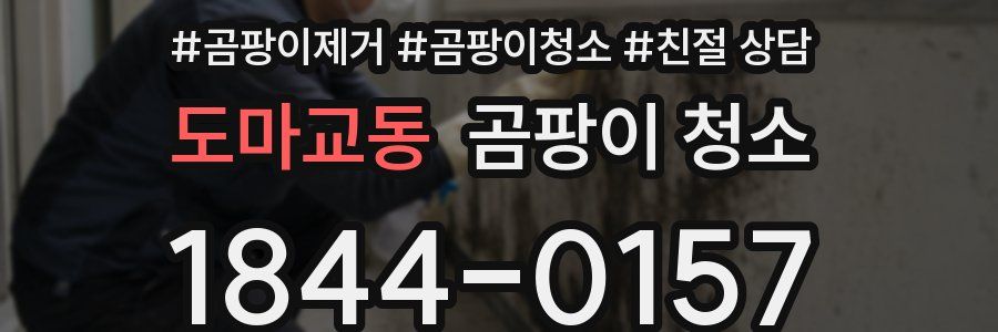 도마교동 곰팡이 청소