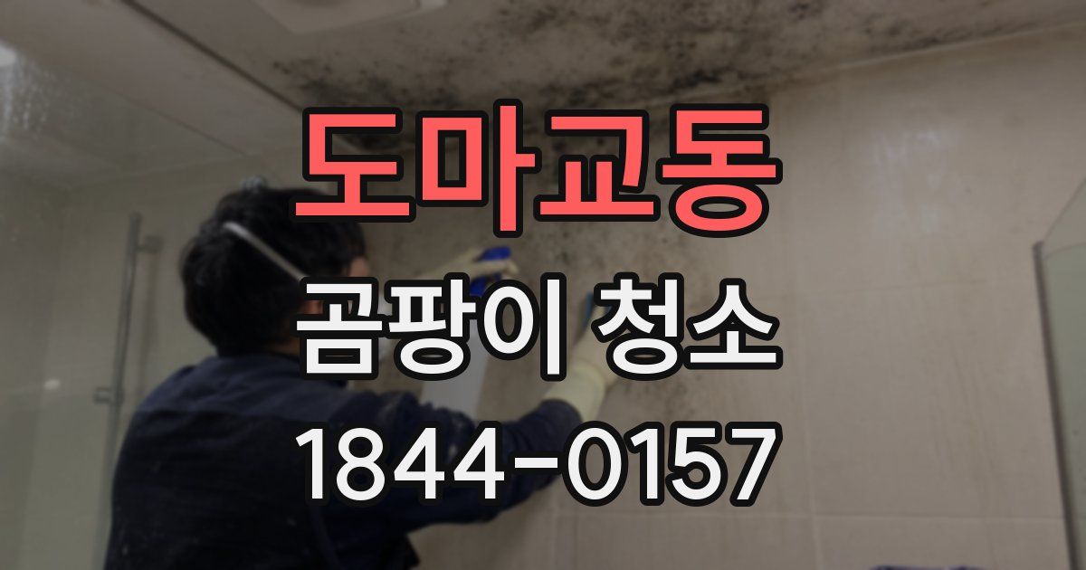 도마교동 곰팡이 청소