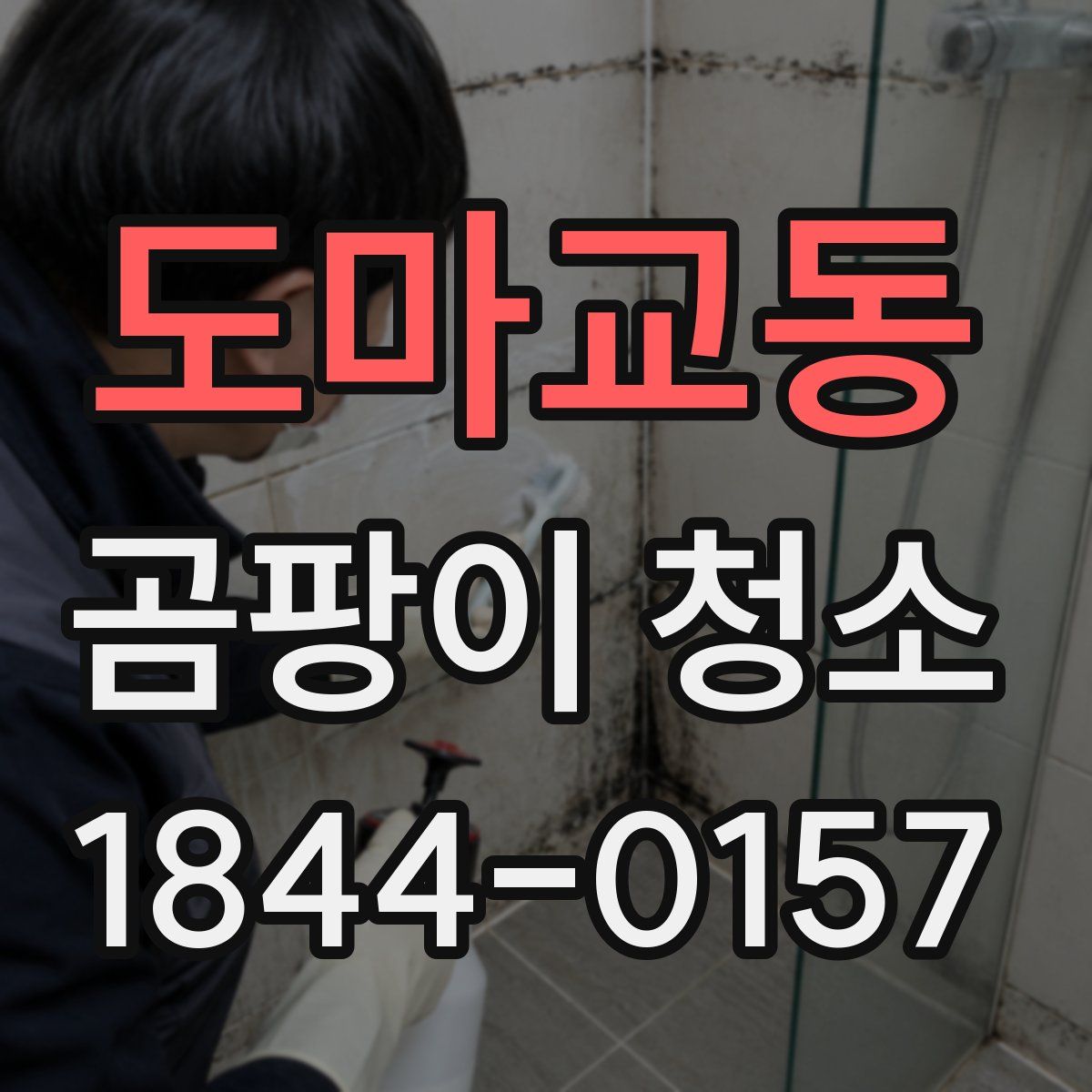 도마교동 곰팡이 청소