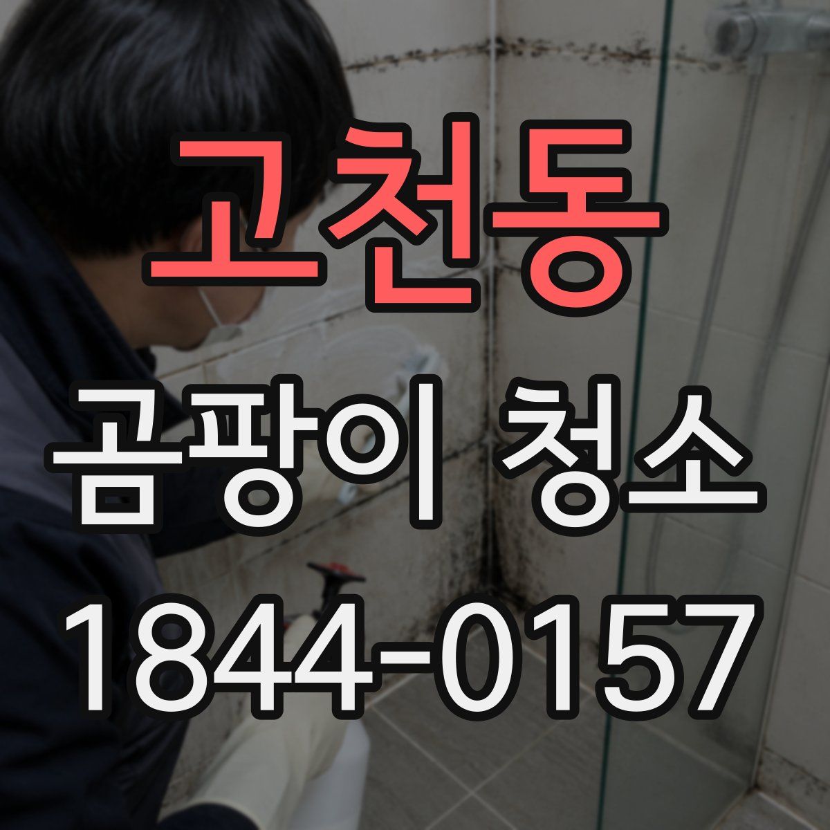 고천동 곰팡이 청소