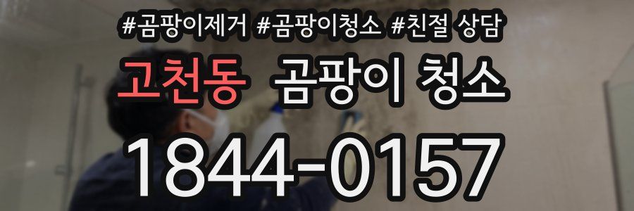 고천동 곰팡이 청소
