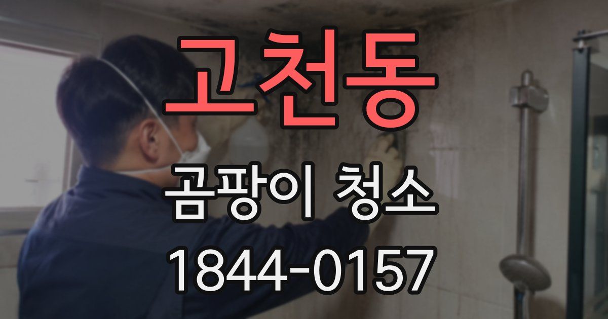 고천동 곰팡이 청소