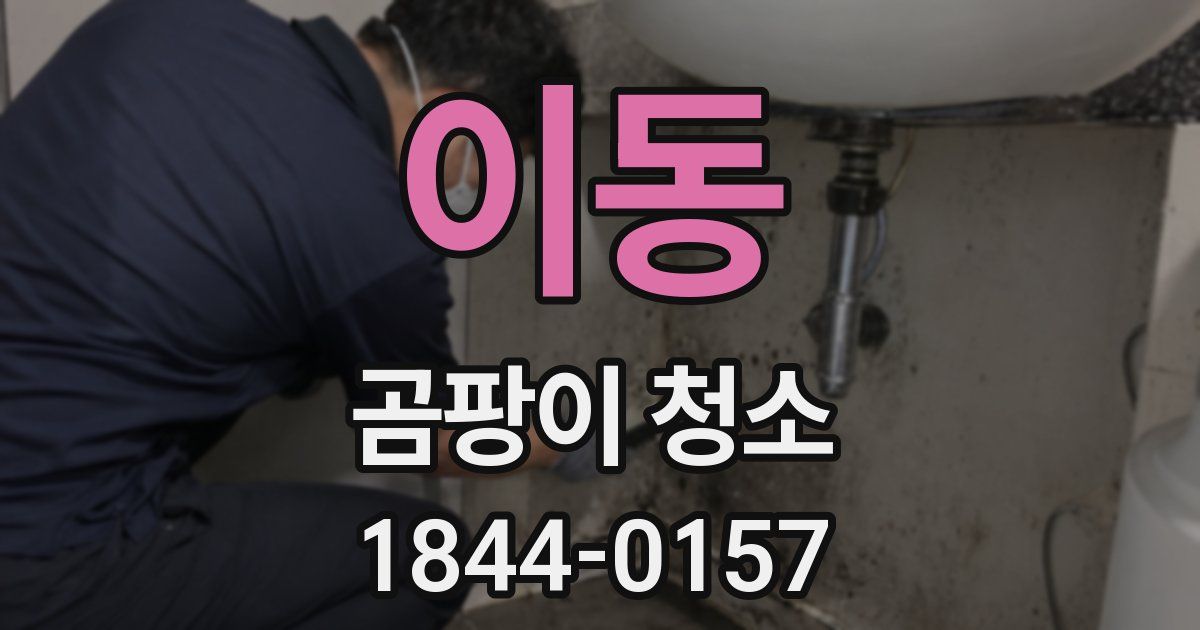 이동 곰팡이 청소