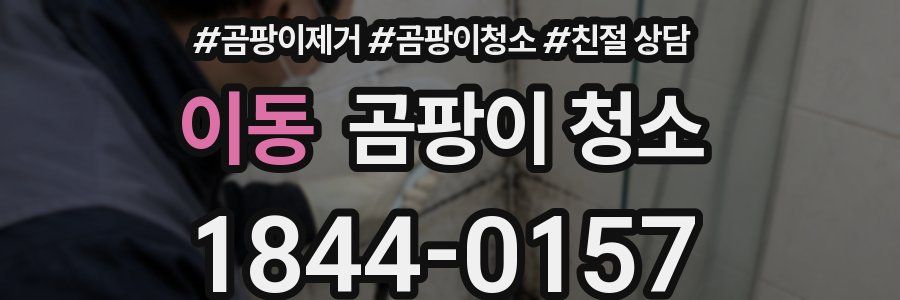 이동 곰팡이 청소