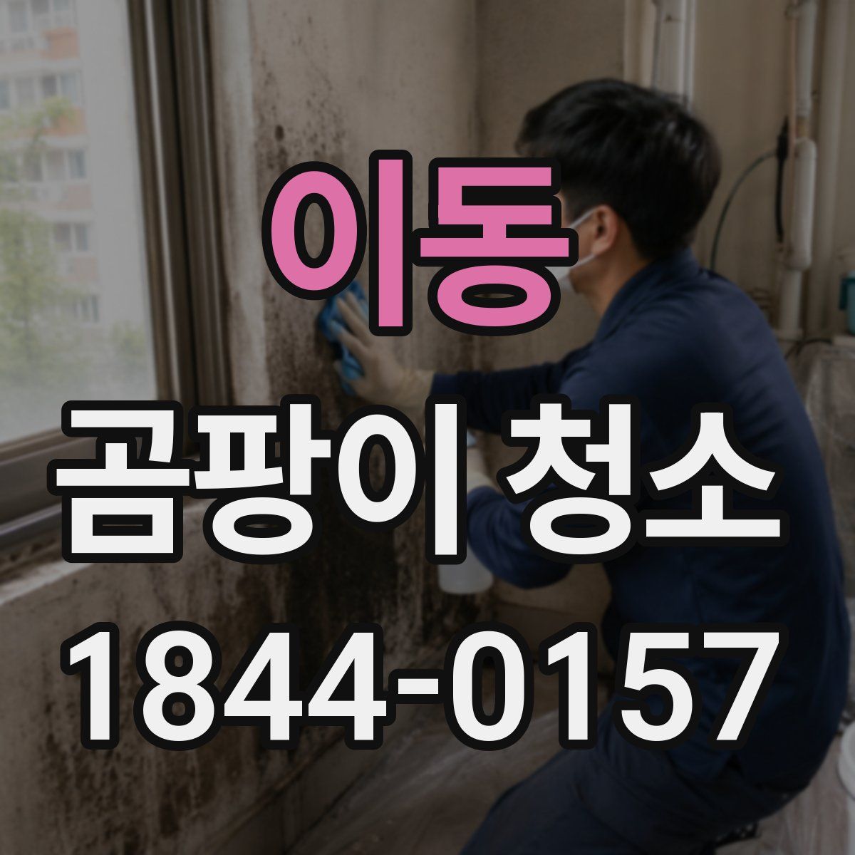 이동 곰팡이 청소