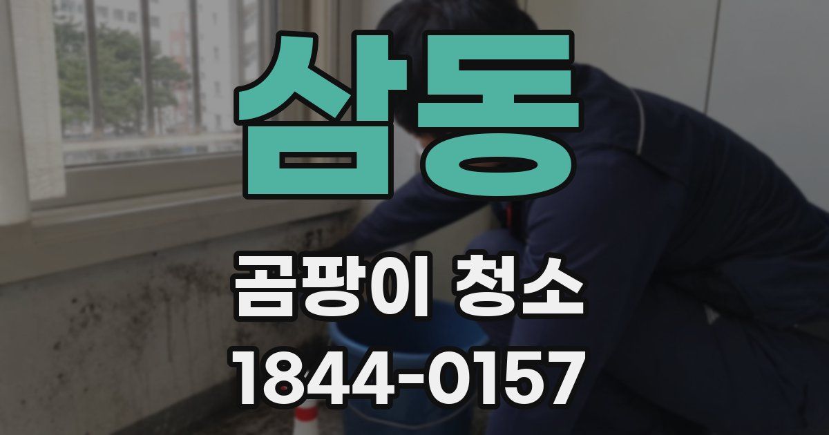 삼동 곰팡이 청소