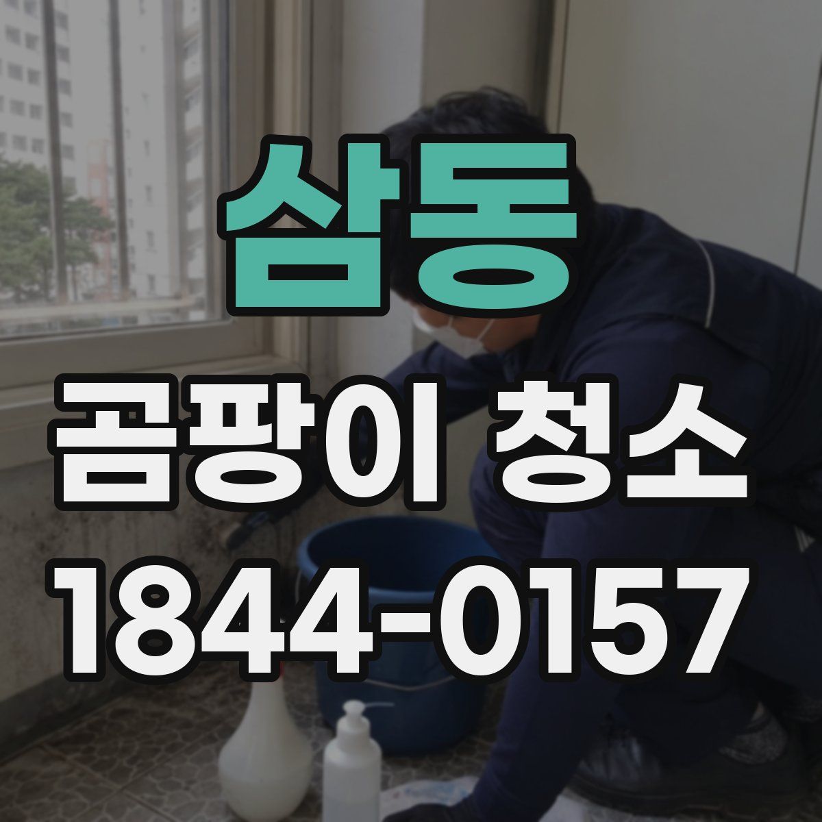 삼동 곰팡이 청소